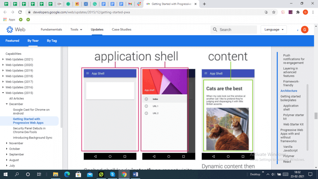 Application Shell Architecture