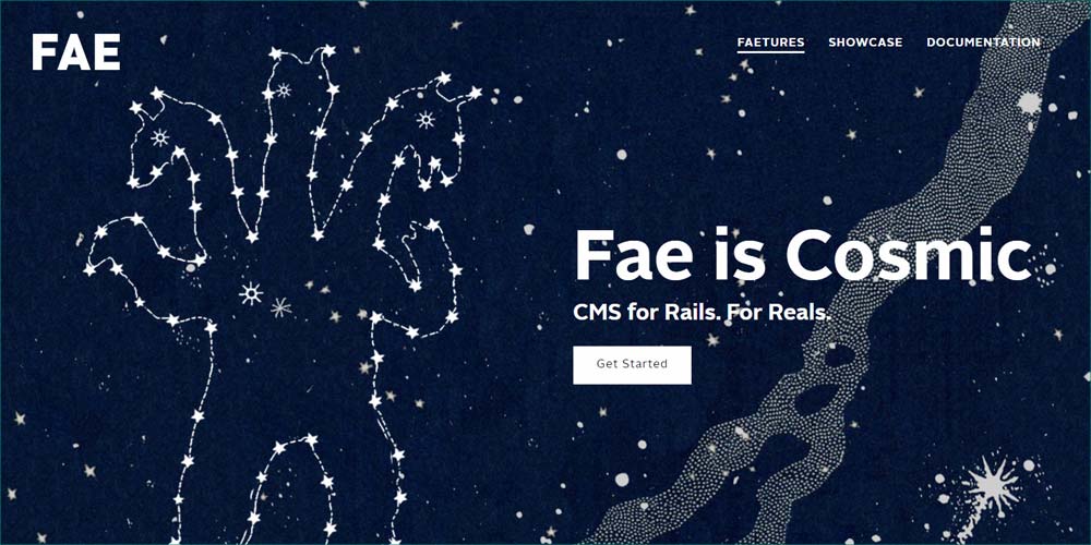 fae cms