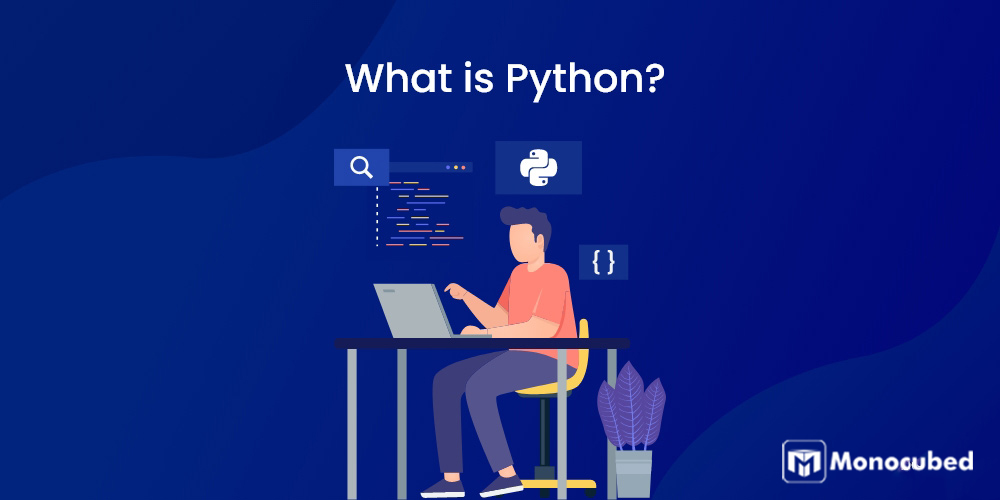 what is python?