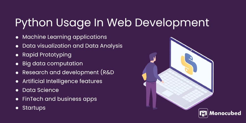 Python Usage In Web Development